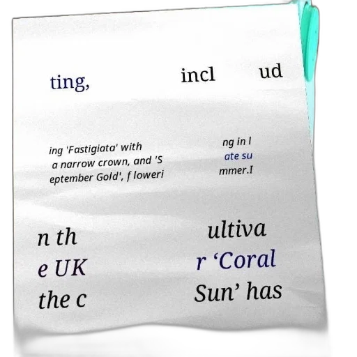 poster, text, about, plants transparent PNG cut-out
