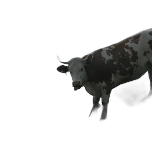 animal, creature, weapon, 3d render transparent PNG cut-out