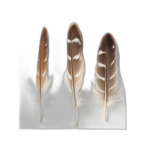 shoes, jewelry, hair, crown transparent PNG cut-out