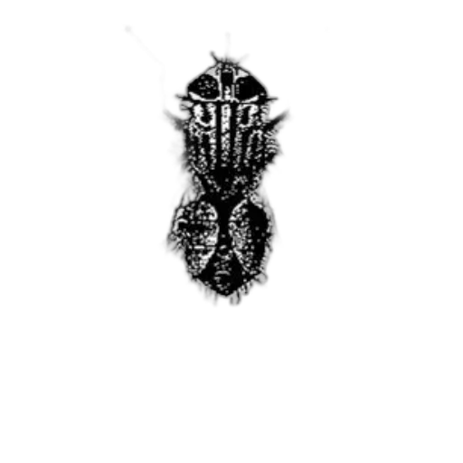 crown, animal, mask, creature transparent PNG cut-out