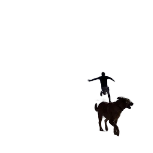 animal, creature, robot, staff transparent PNG cut-out
