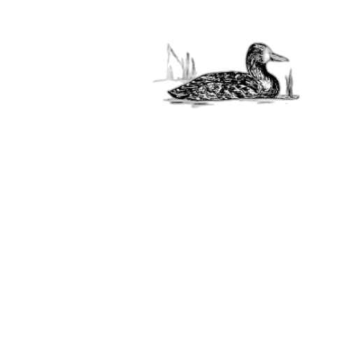 animal, creature, dragon, jewelry transparent PNG cut-out