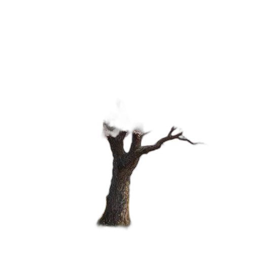 tree, hair, creature, animal transparent PNG cut-out