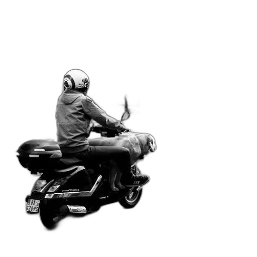 jacket, car, robot, animal transparent PNG cut-out