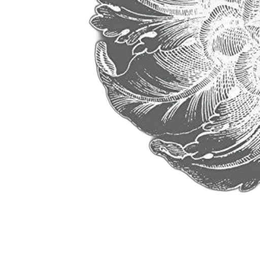 flower, crown, mask, hair transparent PNG cut-out