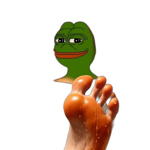 shoes, creature, food, animal transparent PNG cut-out