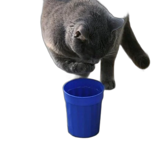 animal, bottle, creature, staff transparent PNG cut-out