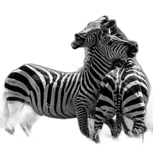 animal, creature, jewelry, staff transparent PNG cut-out