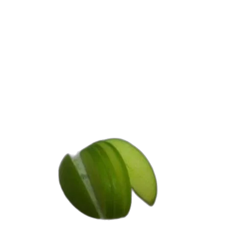 food, crown, weapon, tree transparent PNG cut-out