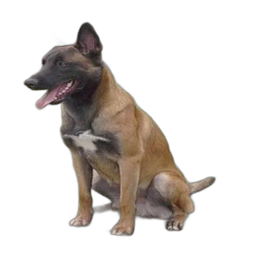 animal, staff, creature, photorealistic transparent PNG cut-out
