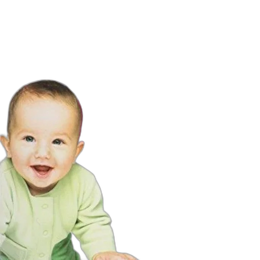 face, creature, animal, hair transparent PNG cut-out