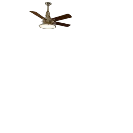 staff, animal, jewelry, umbrella transparent PNG cut-out