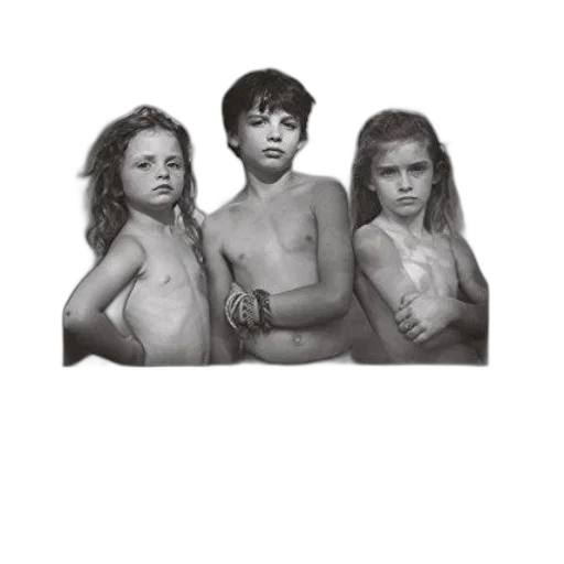 photorealistic, pencil sketch, oil painting, pixel art transparent PNG cut-out