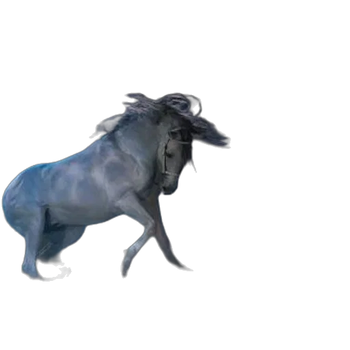 animal, dragon, creature, hat transparent PNG cut-out