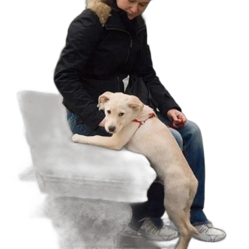 staff, animal, woman, black transparent PNG cut-out