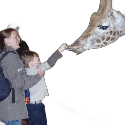 animal, creature, woman, child transparent PNG cut-out