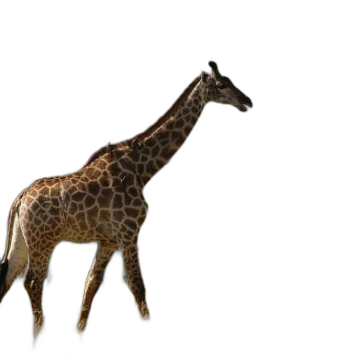 animal, creature, staff, weapon transparent PNG cut-out