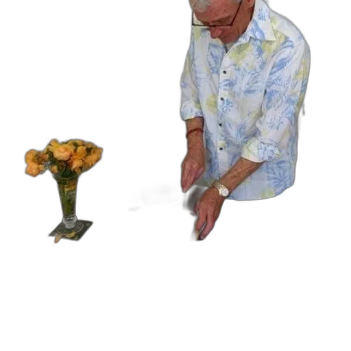 staff, flower, weapon, furniture transparent PNG cut-out