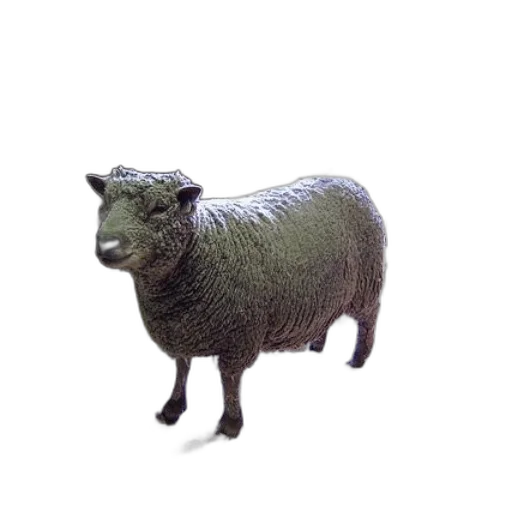 animal, creature, staff, dress transparent PNG cut-out
