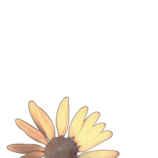 flower, crown, staff, jewelry transparent PNG cut-out