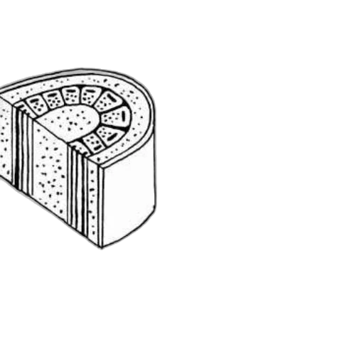 crown, jewelry, furniture, jacket transparent PNG cut-out