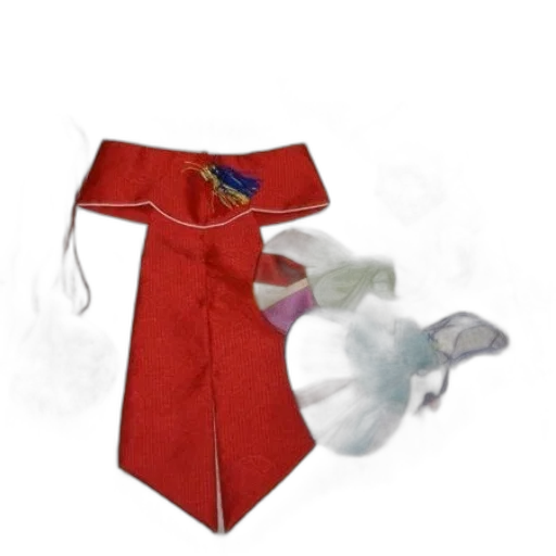 dress, umbrella, jacket, staff transparent PNG cut-out