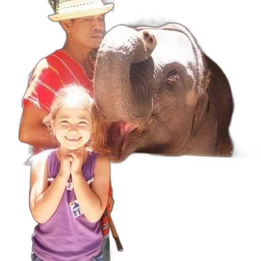 animal, hat, face, creature transparent PNG cut-out