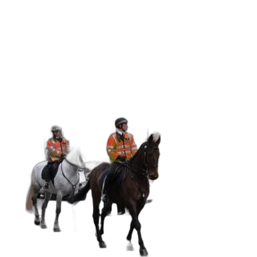 staff, animal, hat, jacket transparent PNG cut-out