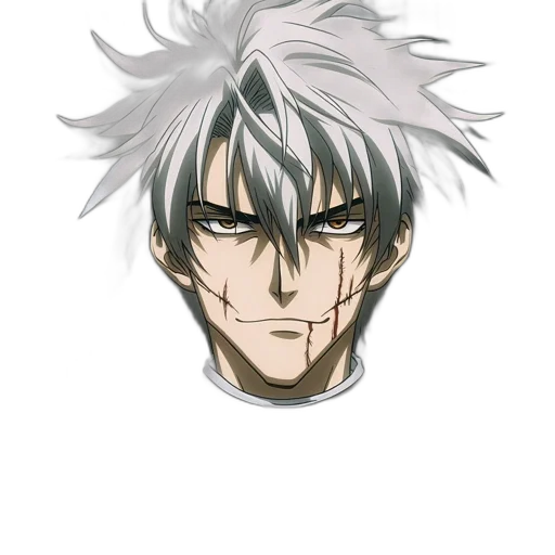 face, mask, hair, crown transparent PNG cut-out