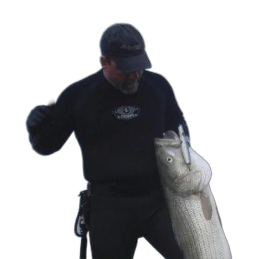 animal, staff, creature, weapon transparent PNG cut-out