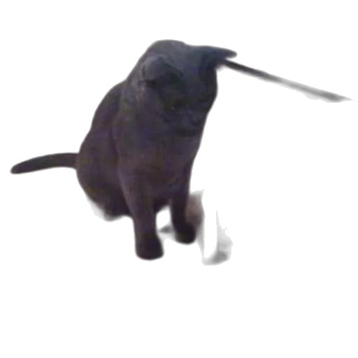 animal, creature, staff, dragon transparent PNG cut-out