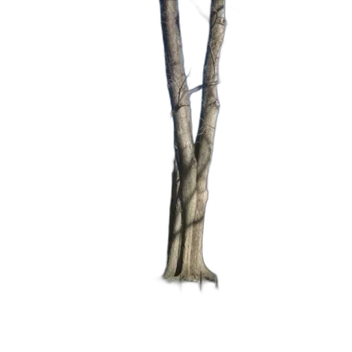 tree, staff, sword, weapon transparent PNG cut-out