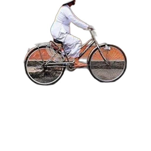 staff, car, creature, animal transparent PNG cut-out