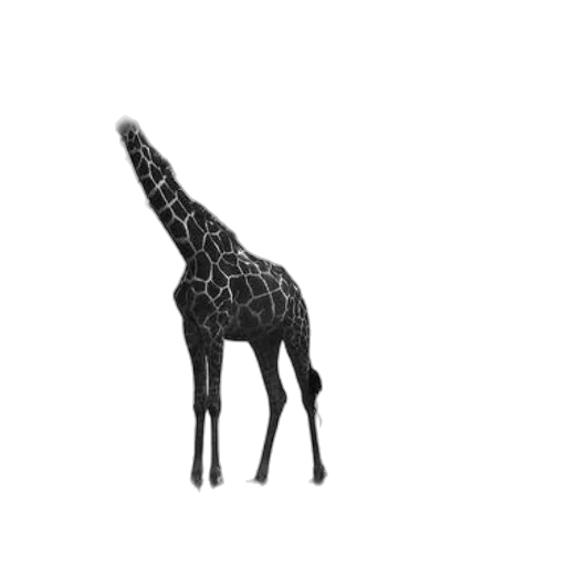animal, creature, staff, dragon transparent PNG cut-out