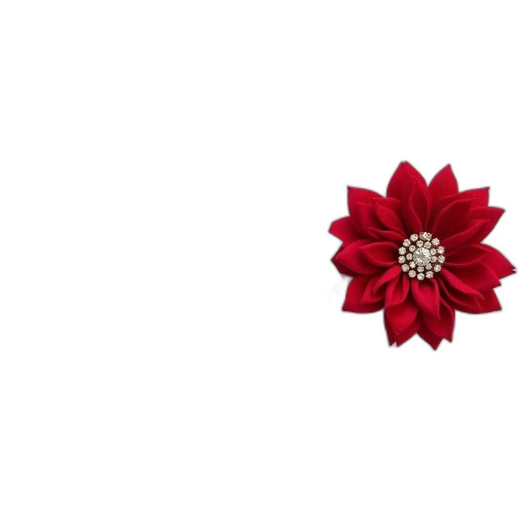 flower, crown, jewelry, umbrella transparent PNG cut-out