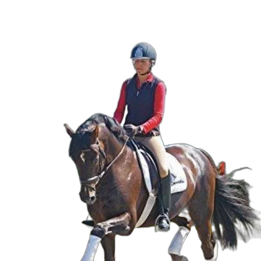 staff, jacket, animal, photorealistic transparent PNG cut-out