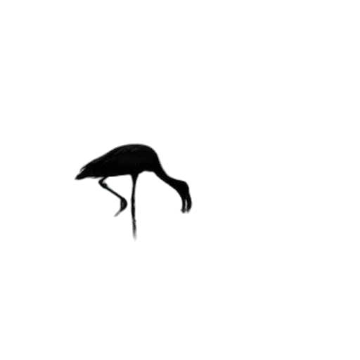 umbrella, animal, hat, creature transparent PNG cut-out