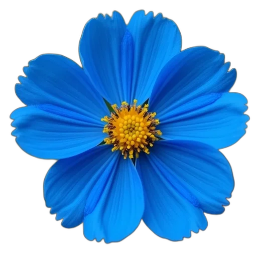 flower, crown, jewelry, staff transparent PNG cut-out