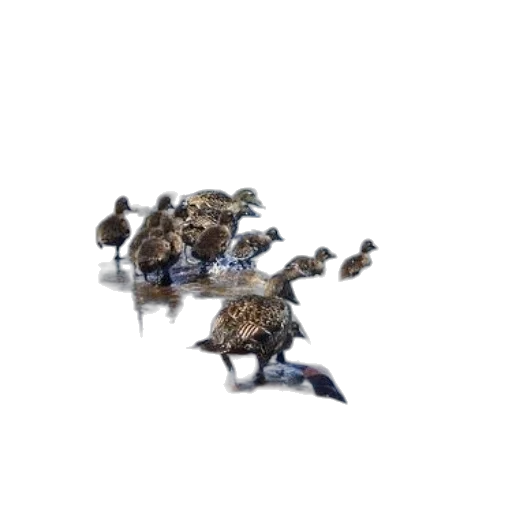 dragon, animal, weapon, crown transparent PNG cut-out