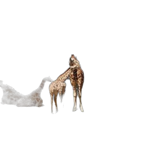 animal, creature, dragon, furniture transparent PNG cut-out