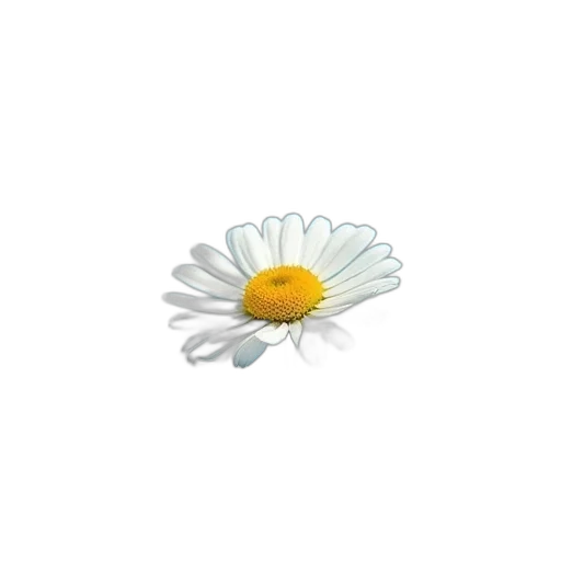 flower, jewelry, crown, staff transparent PNG cut-out