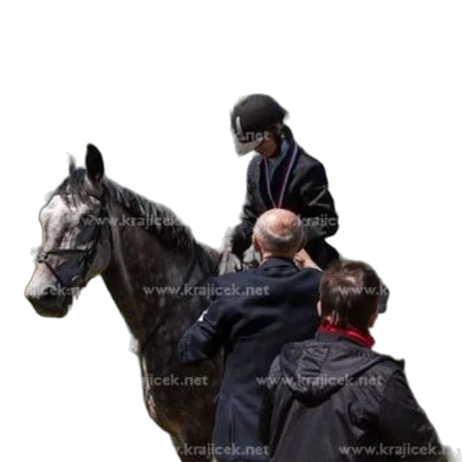 hat, animal, jacket, staff transparent PNG cut-out