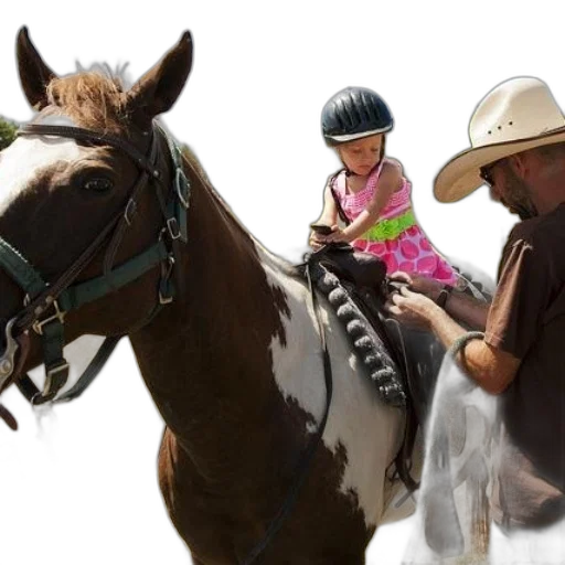 hat, animal, photorealistic, oil painting transparent PNG cut-out