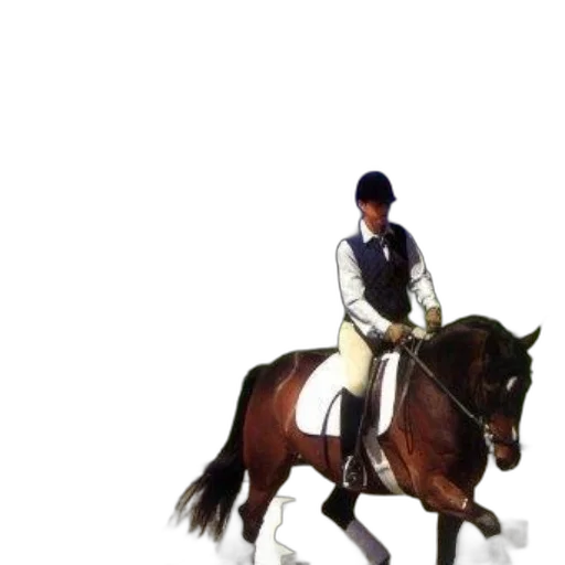 animal, staff, jacket, hat transparent PNG cut-out