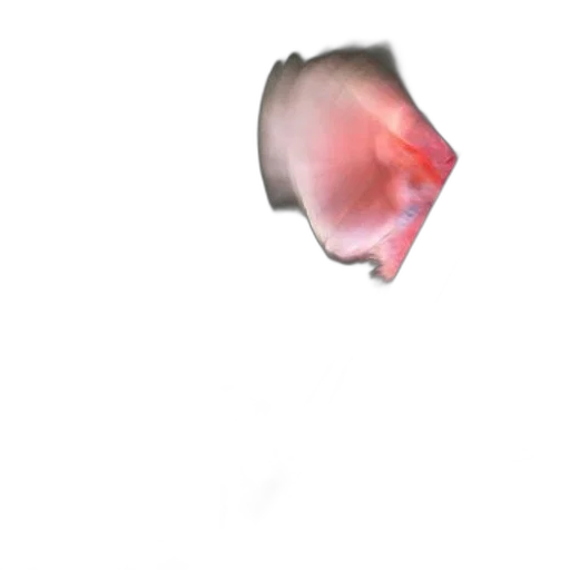 flower, face, creature, animal transparent PNG cut-out