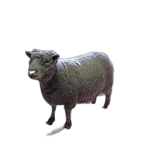 animal, creature, staff, dress transparent PNG cut-out