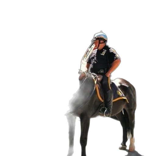 animal, staff, sword, hat transparent PNG cut-out