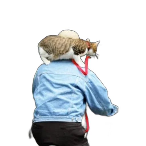 jacket, hat, staff, animal transparent PNG cut-out
