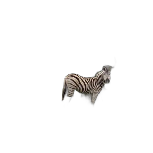 animal, creature, furniture, jewelry transparent PNG cut-out