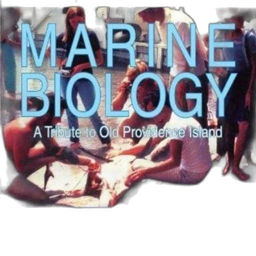 underwater, image, book, cover transparent PNG cut-out